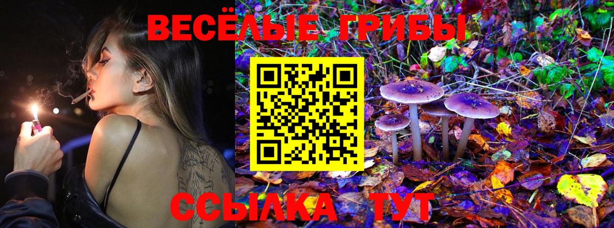 Галлюциногенные грибы прущие грибы  Вход с VPN  Галлюциногенные грибы Cubensis  где купить наркоту  Камышин 