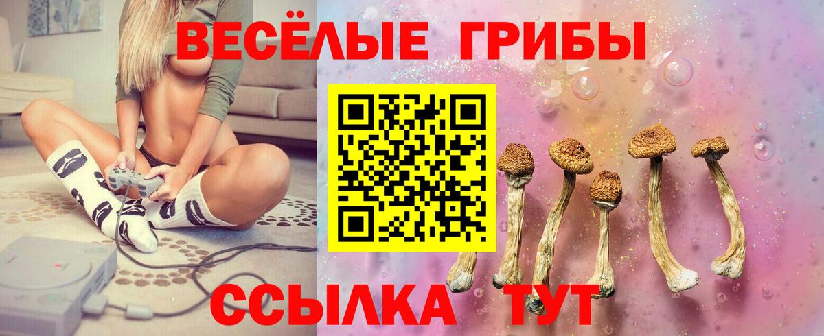 Галлюциногенные грибы мухоморы Камышин
